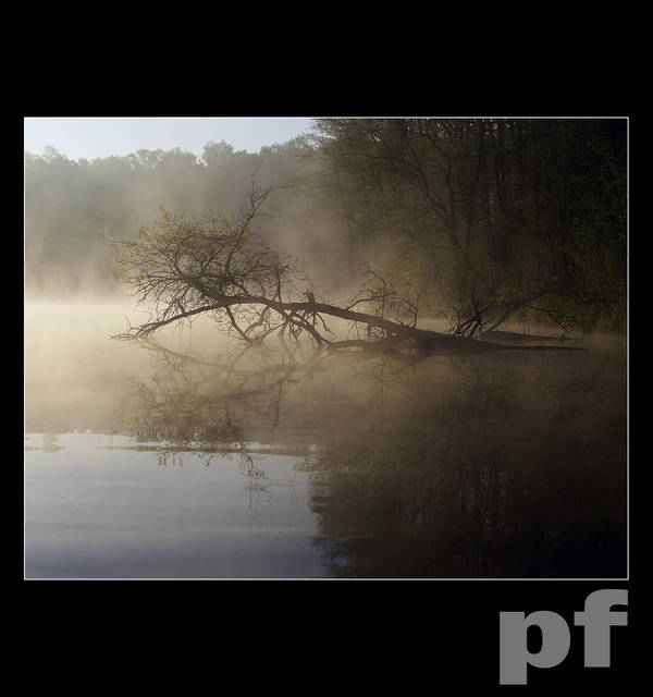 ŚWIT - panfoto