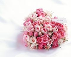 05552_HD.jpg