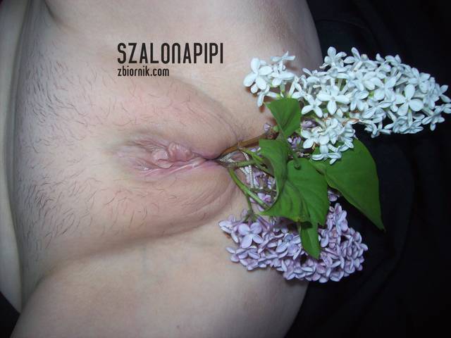 100_1758.JPG - szalonapipi