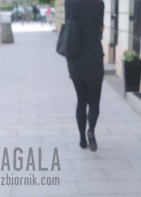 DSC_1402cz.jpg - AGALA