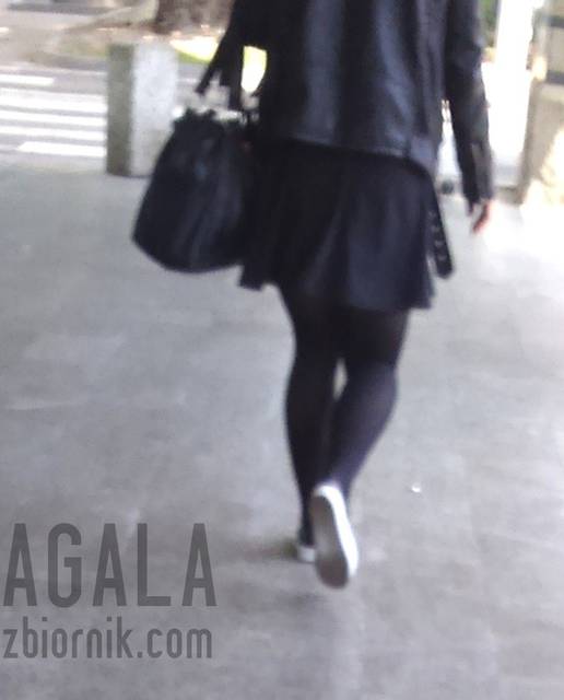 DSC_0019cz.jpg - AGALA