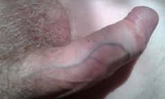 2015-04-14_16.27.22.jpg