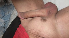 ptak 005.JPG