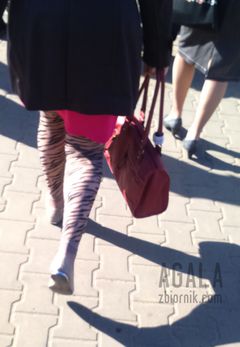 DSC_1510odj.jpg