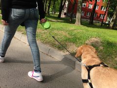 6C504482-98BC-41E7-BDAB-33E4882BFE1A.JPG