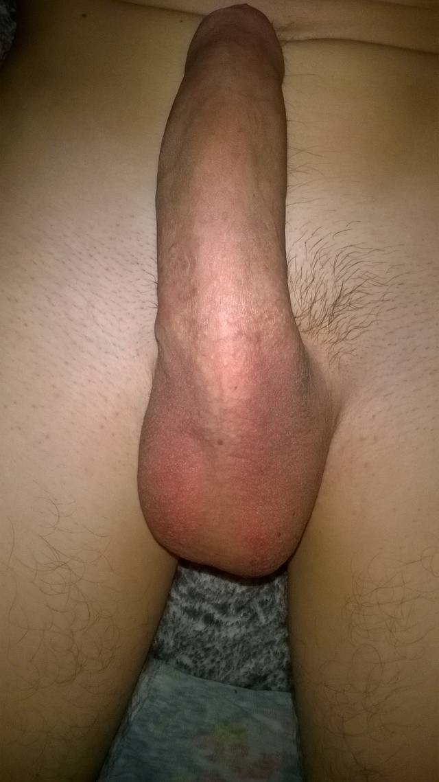 daniel27bi