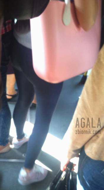 DSC_1525L.jpg - AGALA