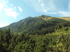 DSC02115.JPG