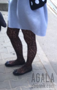 DSC_1570odj.jpg