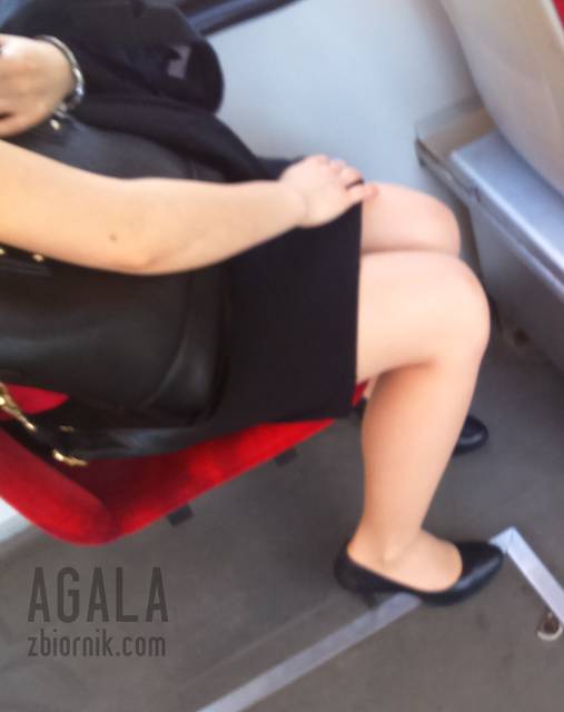 DSC_1587kl.jpg - AGALA