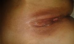 20150603_005111.jpg