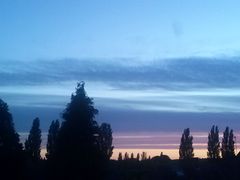 CAM00006.jpg