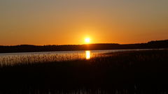 DSC01910.JPG