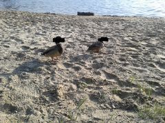 20150513_183227.jpg