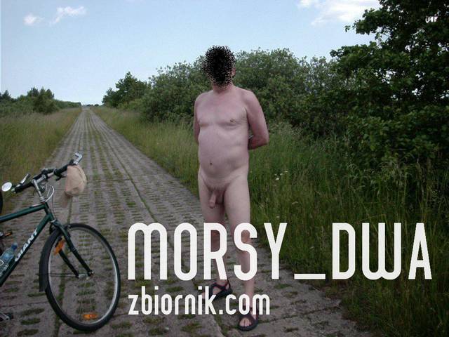 Po drodze. - Morsy_dwa