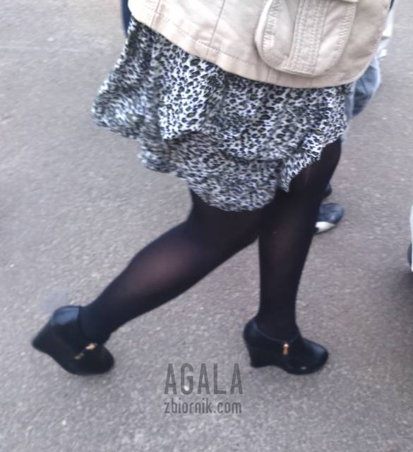 DSC_1799cz.jpg - AGALA