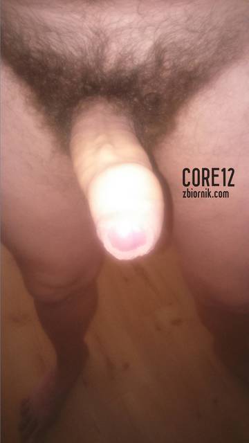 DSC_0700.JPG - core12