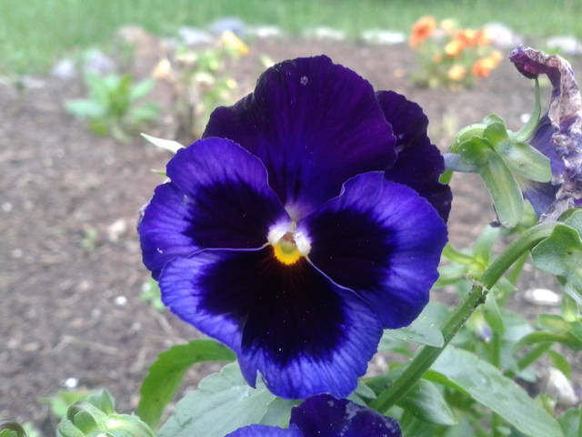 20130602_182715.jpg - 2kes