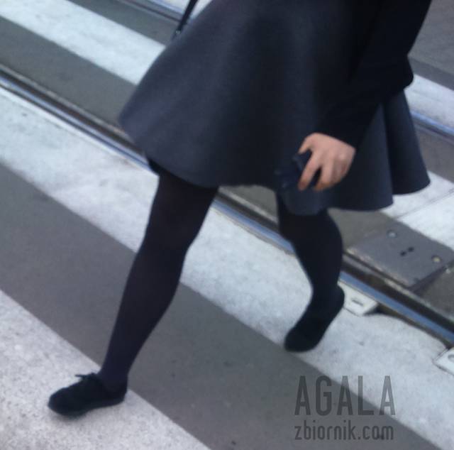 DSC_1917cz.jpg - AGALA