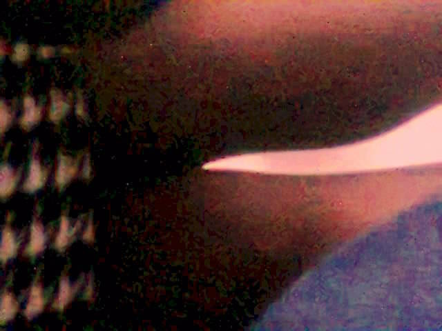 Zdjęcie1135_001.jpg - arti1620