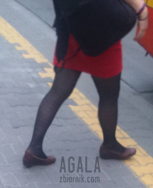 DSC_1984odj.jpg - AGALA