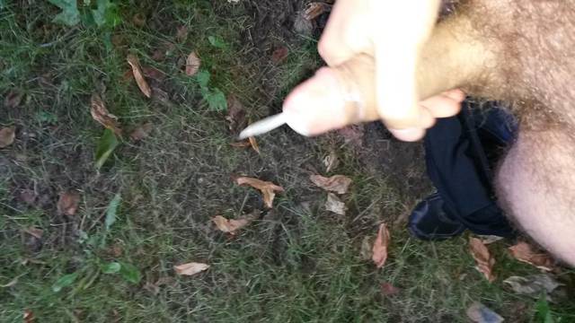 1409935664051.jpg - Zbirek79