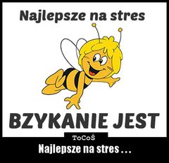 BZYCZEK