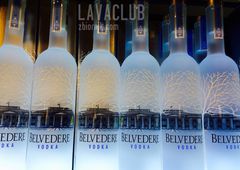 SEX PARTY BELVEDERE NIGHT 03.07.2015 r.