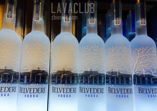 SEX PARTY BELVEDERE NIGHT 03.07.2015 r. - LavaClub