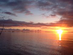 IMG_4500.JPG