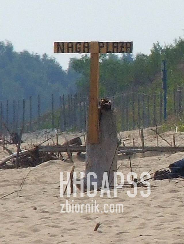 Hhgapss