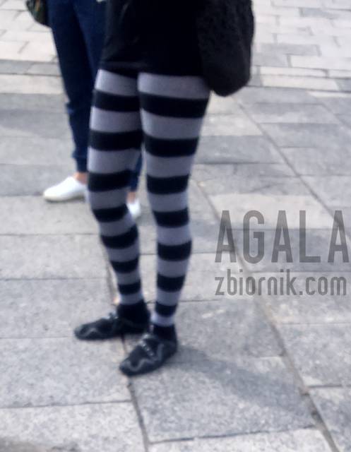 DSC_2116L.jpg - AGALA