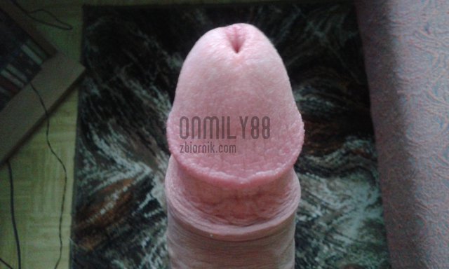 onmily88