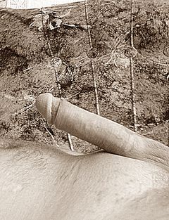 14.JPG