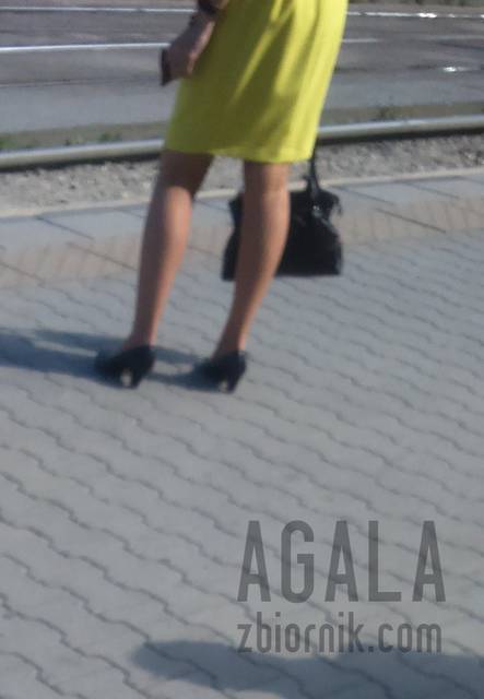 DSC_2190kl.jpg - AGALA