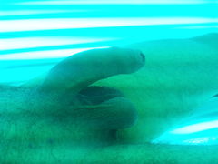 20150717_160030.jpg