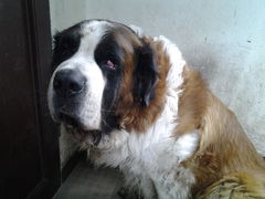 20140811_100334.jpg