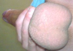 e727a73977f24042.jpg