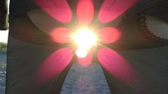 IMAG0228.jpg