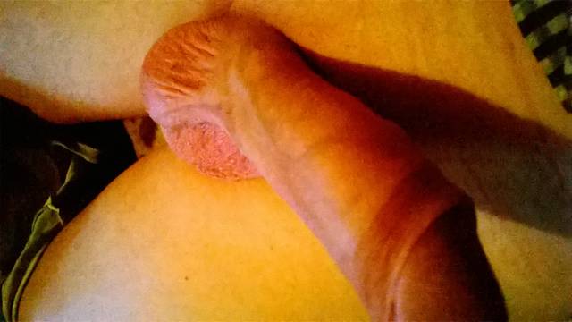 tomsta31