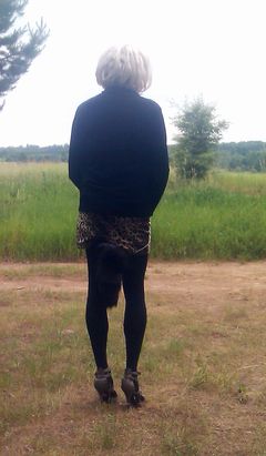 Lisek