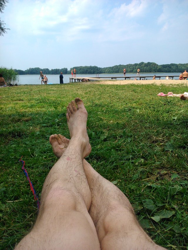 picior_28