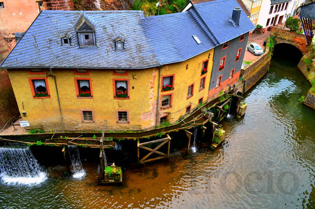 Saarburg - frocio
