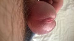 WP_20150810_08_03_12_Pro.jpg