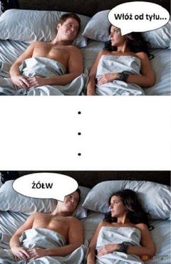 Włóż