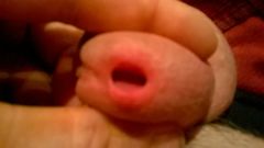 WP_20150815_22_14_08_Pro.jpg