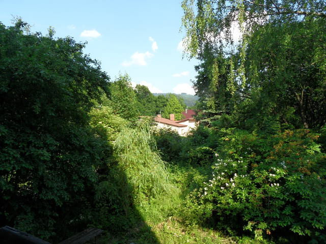 duszki4