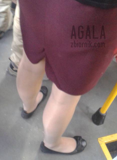 20150821_8v.jpg - AGALA