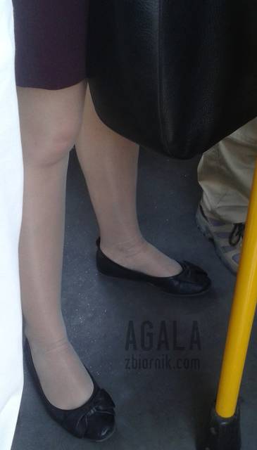 20150821_1v.jpg - AGALA