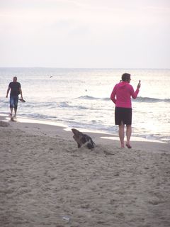 100_3803.JPG